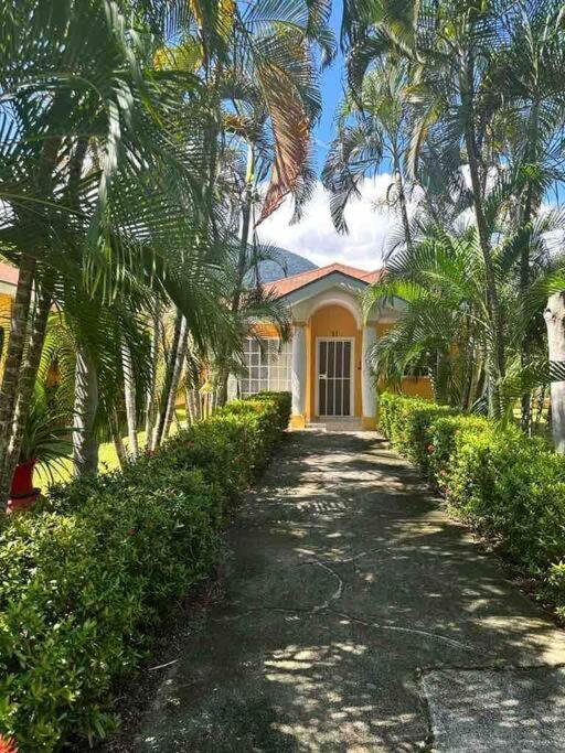 Villa De Ali In Palma Real La Ceiba Esterno foto